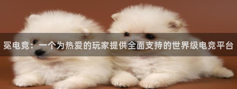 南宫电竞官网：冕电竞：一个为热爱的玩家提供全面支持的世界级电竞平台