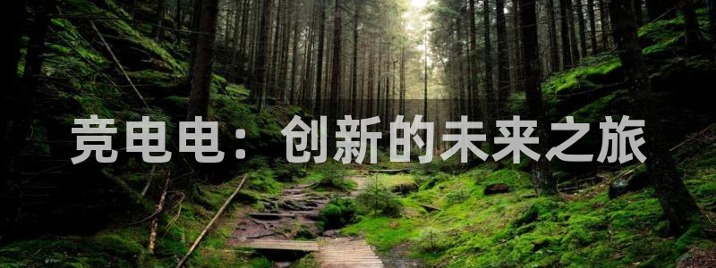 南宫电竞平台：竞电电：创新的未来之旅