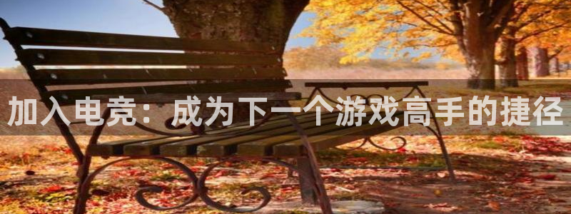 南宫电竞网：加入电竞：成为下一个游戏高手的捷径