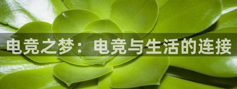 南宫电竞：电竞之梦：电竞与生活的连接