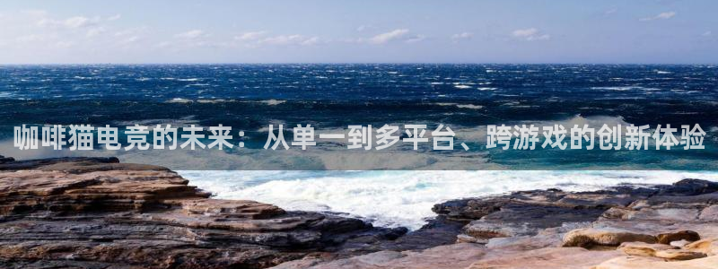 南宫电竞注册：咖啡猫电竞的未来：从单一到多平台、跨游戏的创新体验