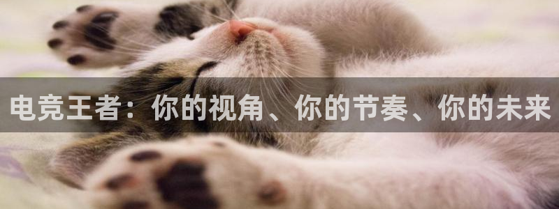 南宫电竞平台：电竞王者：你的视角、你的节奏、你的未来