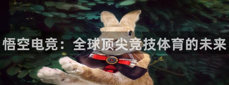 南宫电竞贴吧：悟空电竞：全球顶尖竞技体育的未来
