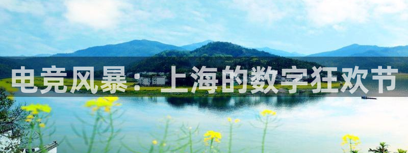 南宫电竞登陆：电竞风暴：上海的数字狂欢节