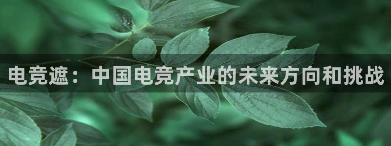 南宫电竞：电竞遮：中国电竞产业的未来方向和挑战
