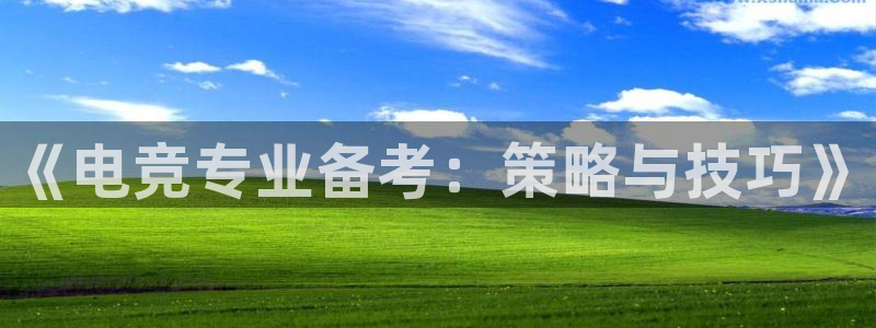 南宫电竞贴吧：《电竞专业备考：策略与技巧》