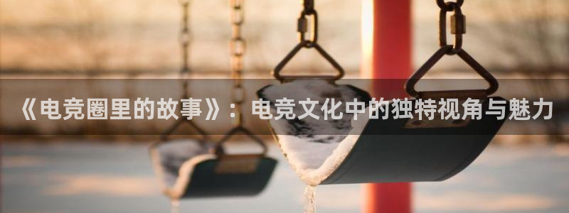 南宫电竞注册：《电竞圈里的故事》：电竞文化中的独特视角与魅力