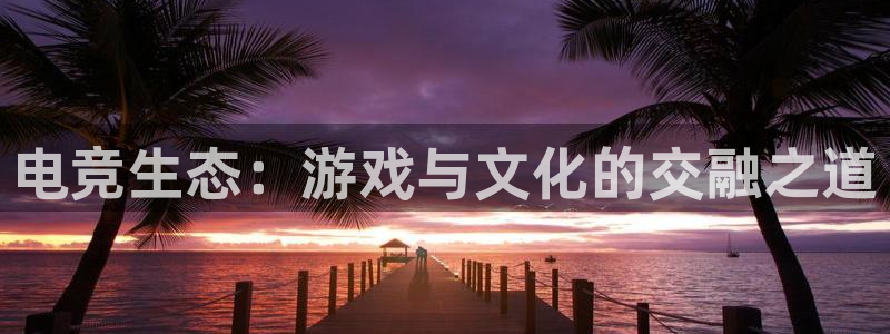 南宫电竞网：电竞生态：游戏与文化的交融之道