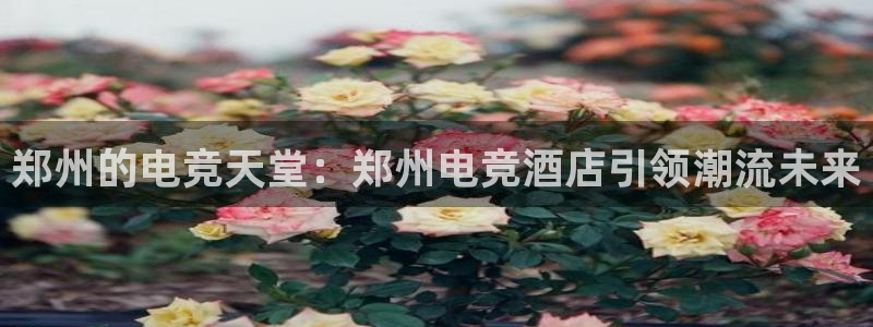 南宫电竞：郑州的电竞天堂：郑州电竞酒店引领潮流未来